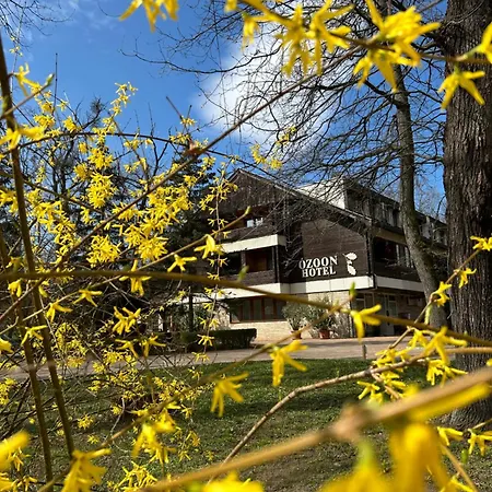 Otel Ozoon *