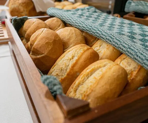 Hotel Ozoon Nyíregyháza