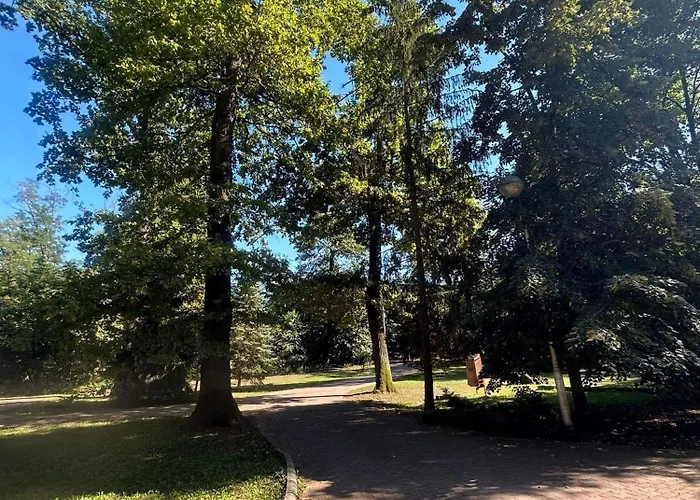 Ozoon * Nyíregyháza