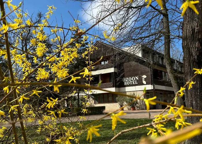 Hotel Ozoon *