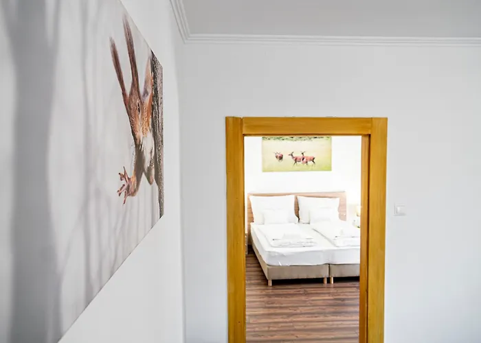 Hotel Ozoon Nyíregyháza