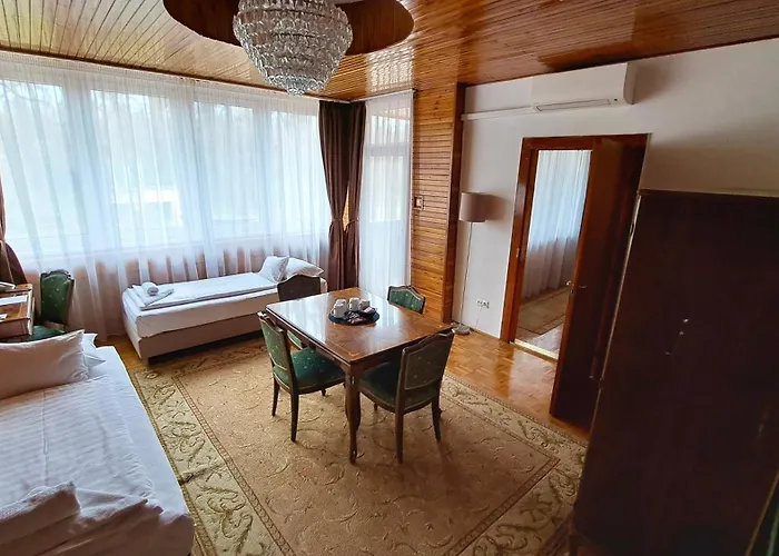 Ozoon * Nyíregyháza